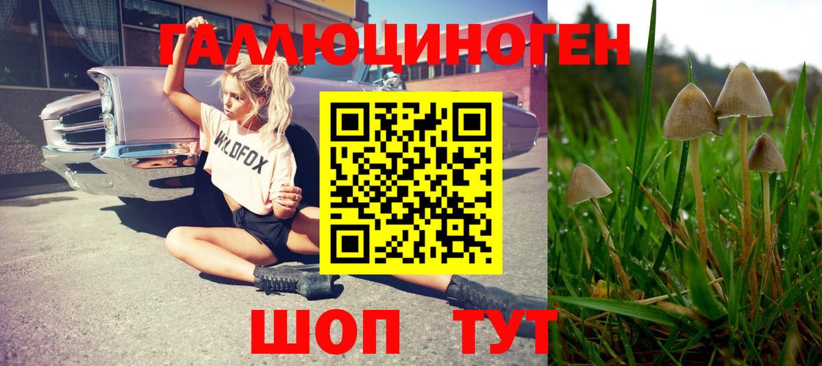 Псилоцибиновые грибы MAGIC MUSHROOMS  Галлюциногенные грибы мицелий  Каменск-Уральский  Вход с VPN 